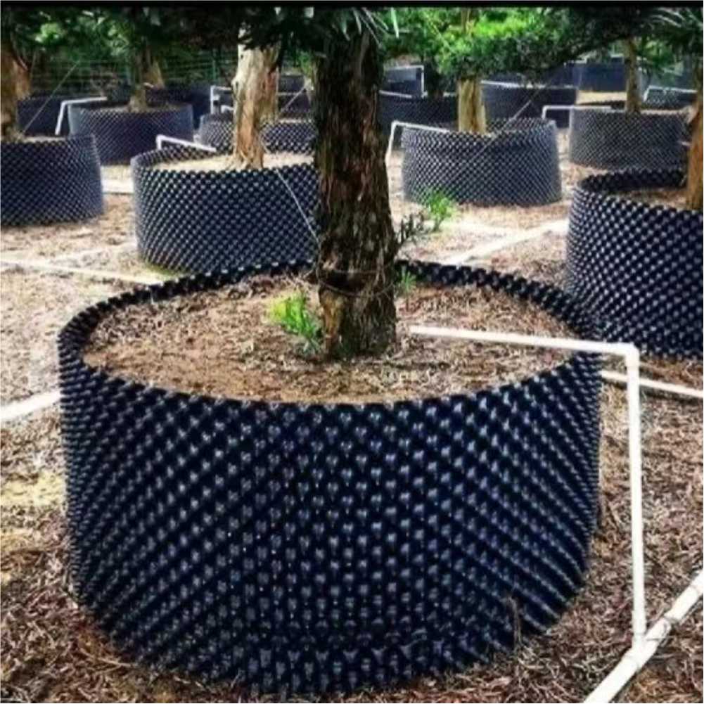 Plant Pot - Vaso da Coltivazione per Bonsai e