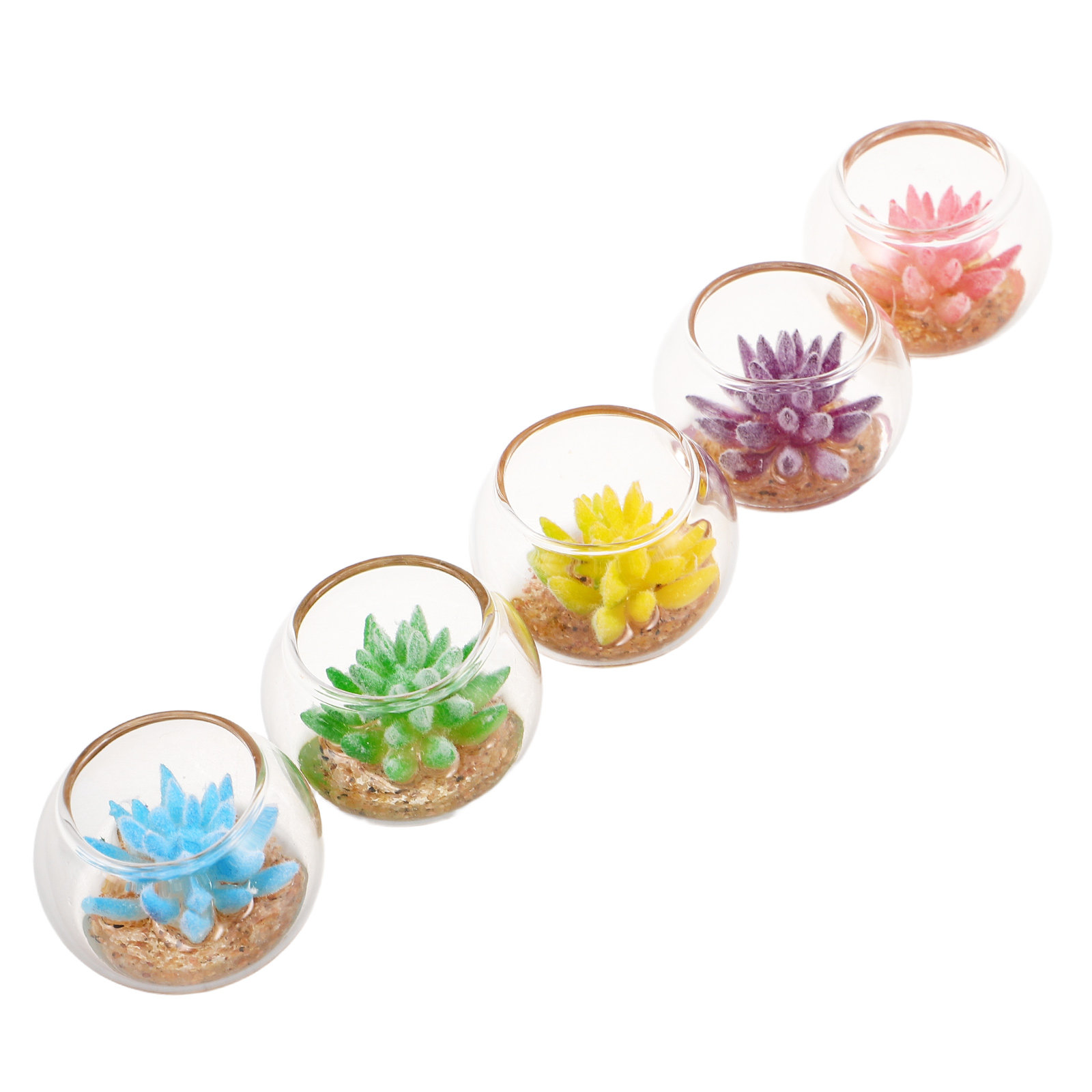 Set di 5 vasi in miniatura in  - Plant Pot recensione e prezzo