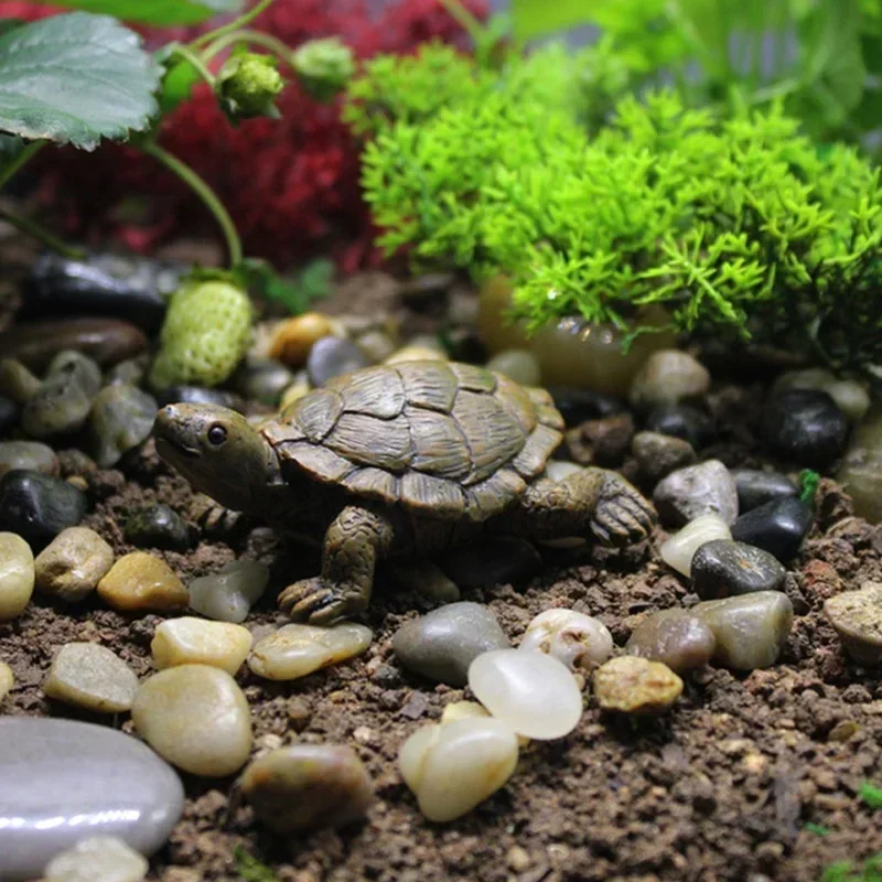 Simulazione in resina Piccola  - Succulent Set recensione e prezzo
