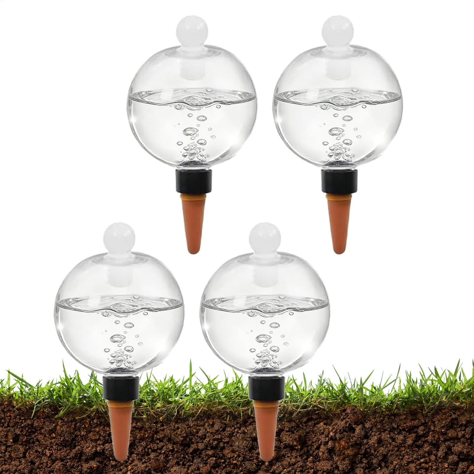 Globi per Irrigazione Piante 4 - Pothos recensione e prezzo