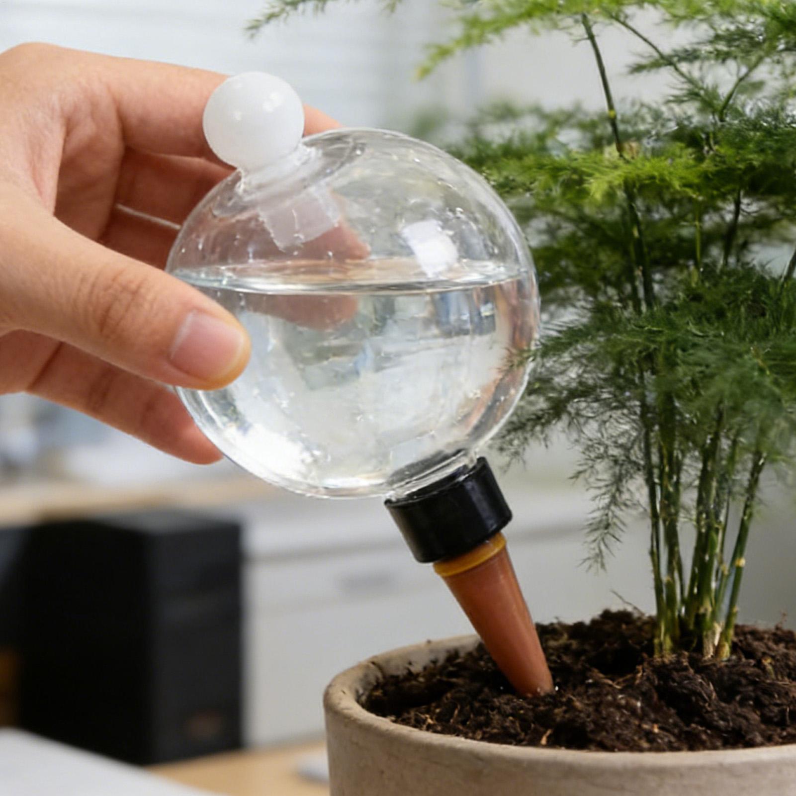 Globi per Irrigazione Piante 4 - Pothos recensione e prezzo
