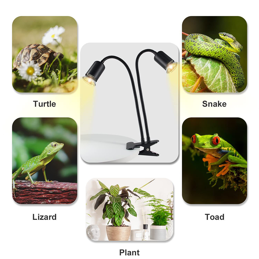 Lampada termica per rettili st - Snake Plant recensione e prezzo