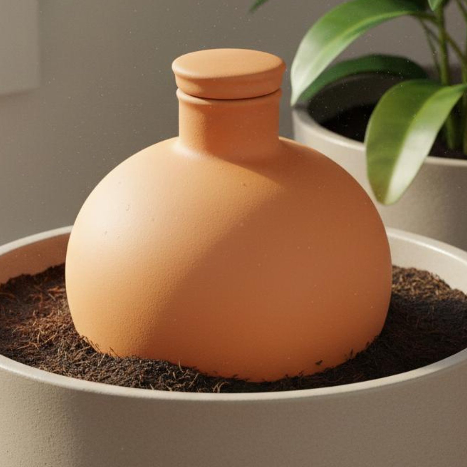 2 Pezzi Olla in Terracotta per - Terracotta Pot recensione e prezzo