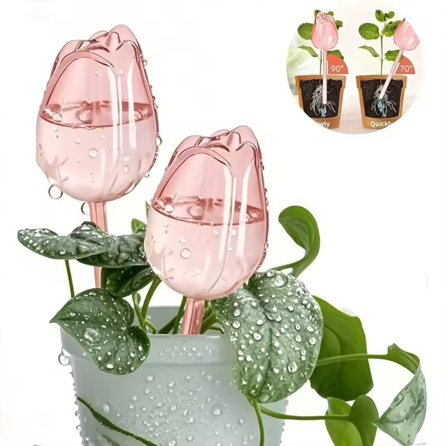 Irrigatore a rilascio lento a  - Pothos recensione e prezzo