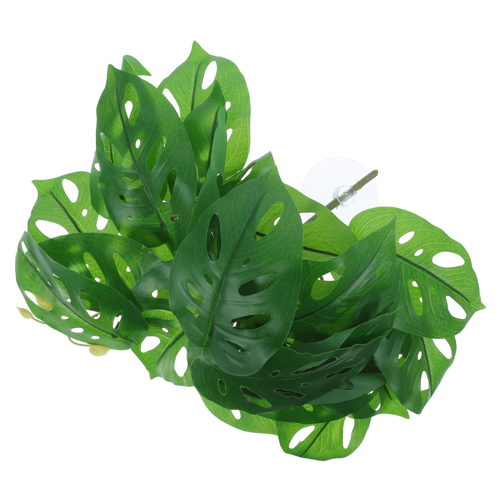 Decorazioni per habitat di ret - Snake Plant recensione e prezzo