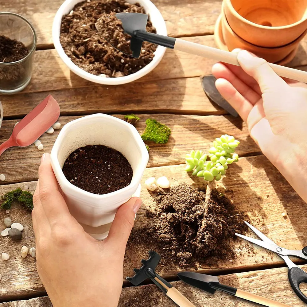 Set di attrezzi per piante suc - Succulent Set recensione e prezzo