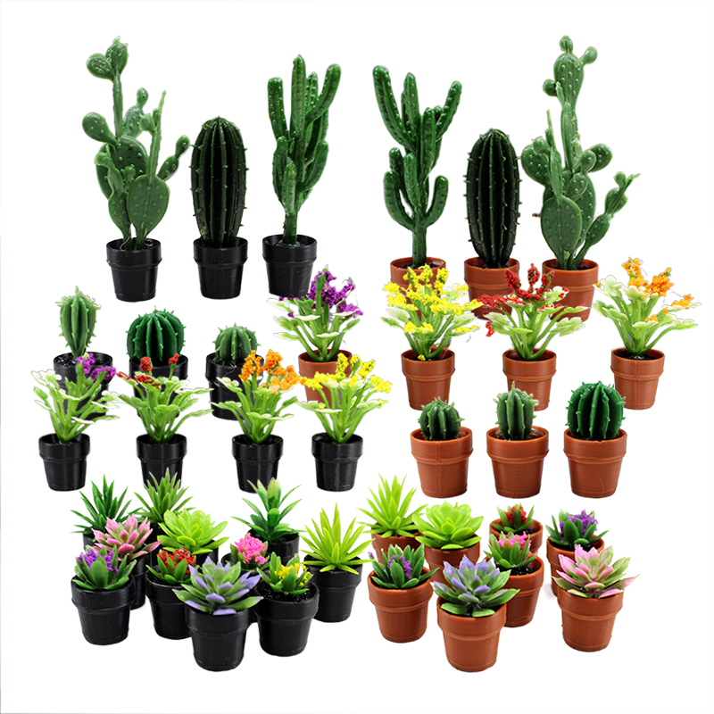 8 pezzi di piccole piante in v - Succulent Set recensione e prezzo