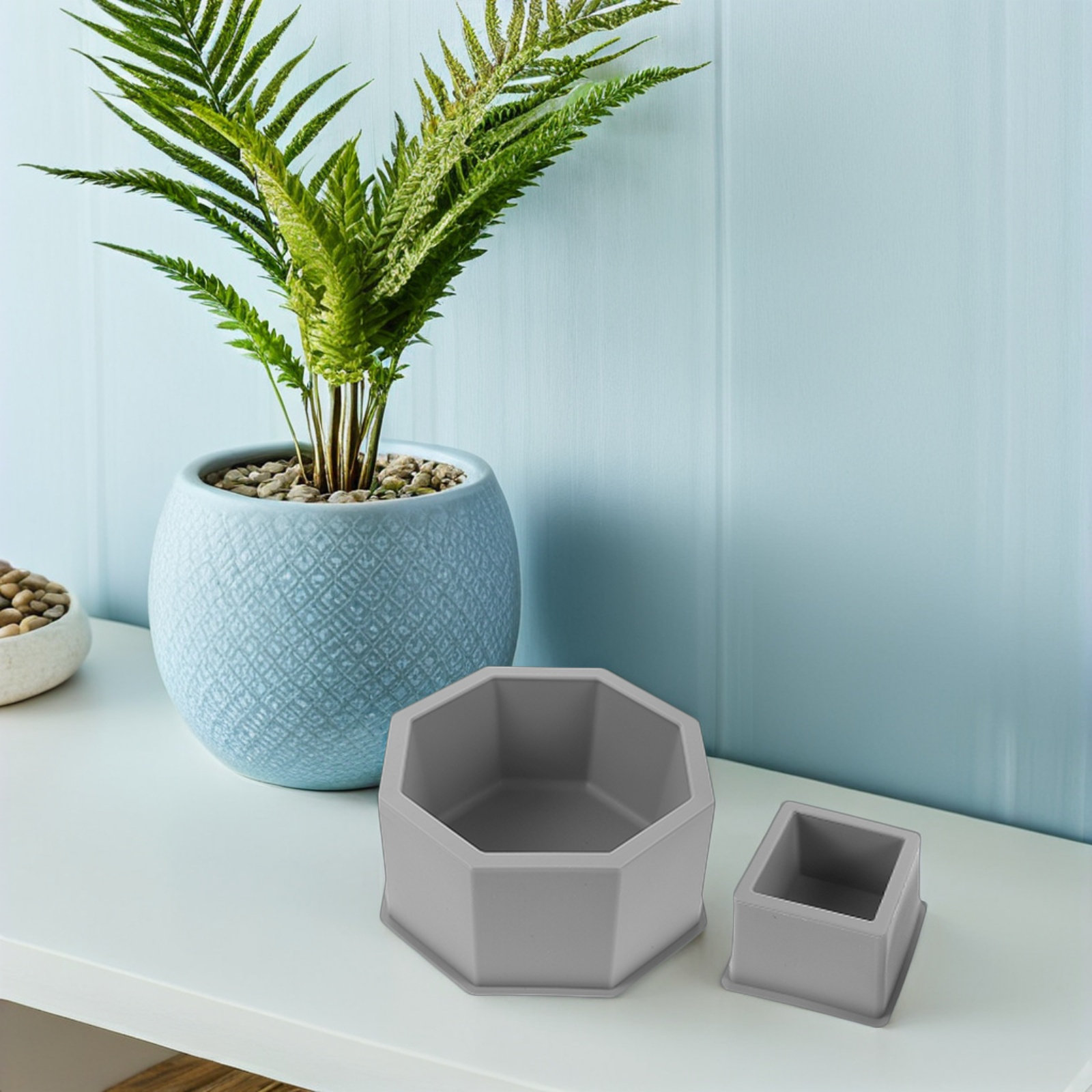 Set da 2 stampi in silicone ri - Succulent Set recensione e prezzo