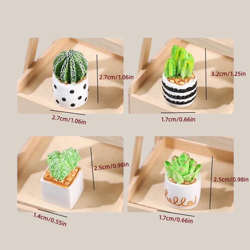 Set di 4 Piante Succulente di  - Succulent Set recensione e prezzo
