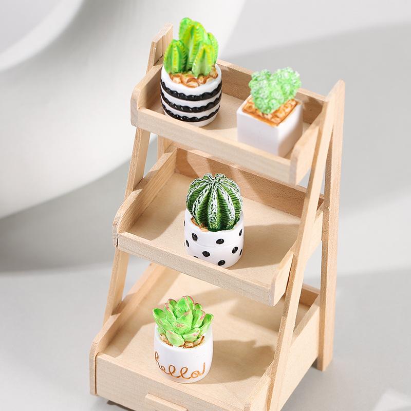 Set di 4 Piante Succulente di  - Succulent Set recensione e prezzo