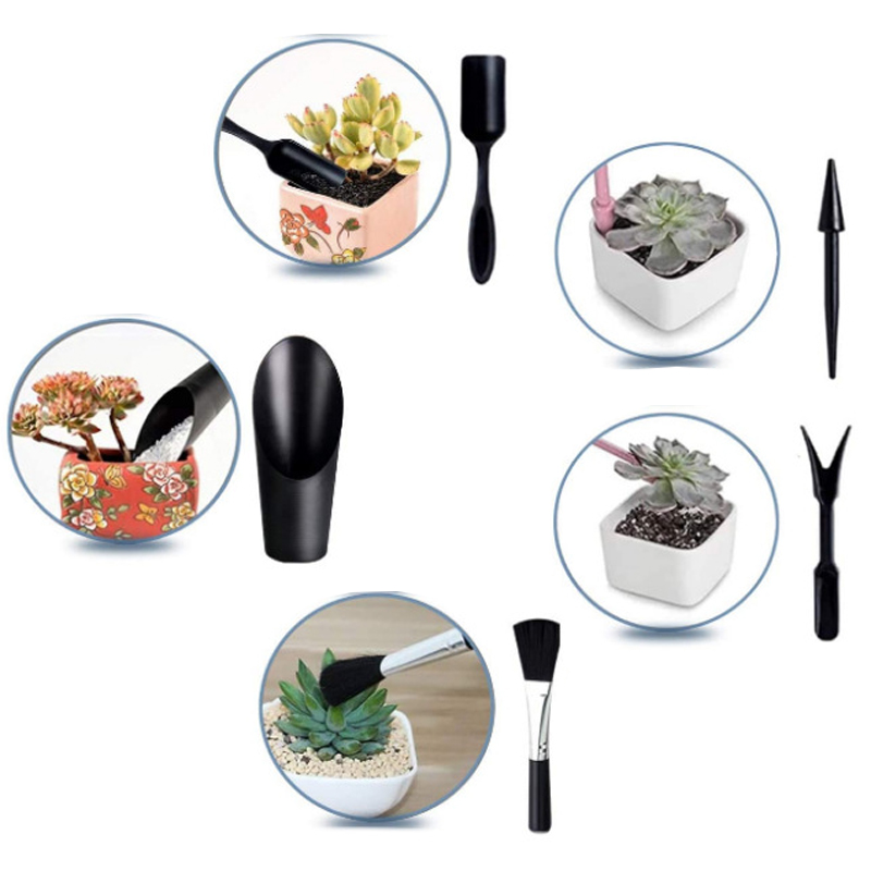 Mini set di attrezzi da giardi - Succulent Set recensione e prezzo