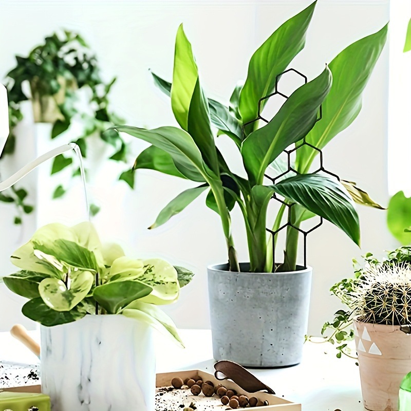 1 Pezzo Griglia per Piante a N - Pothos recensione e prezzo